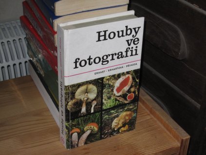 Houby ve fotografii
