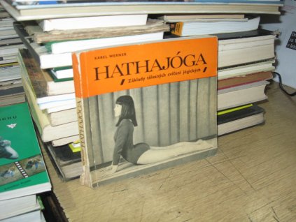 Hathajóga. Základy tělesných cvičení jógických