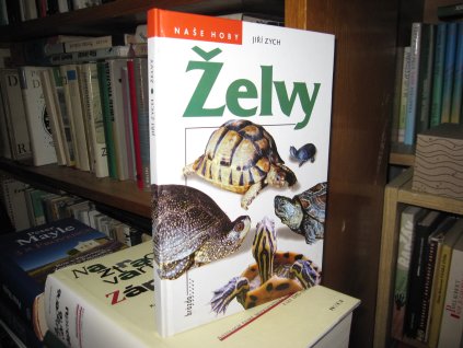 Želvy