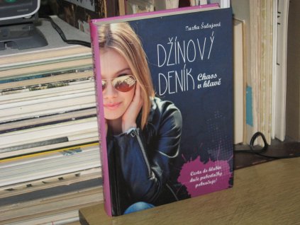 Džínový deník: Chaos v hlavě