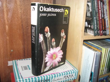 O kaktusech