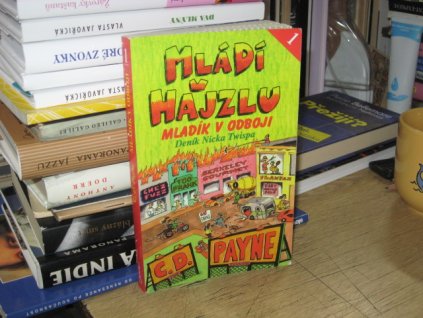 Mládí v hajzlu 1: Mladík v odboji
