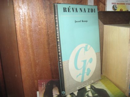 Réva na zdi