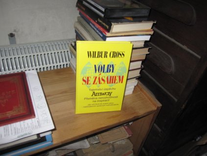 Volby se zásahem