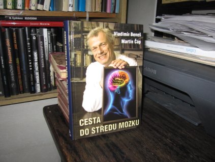 Cesta do středu mozku