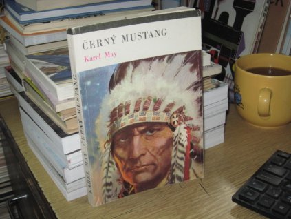 Černý mustang
