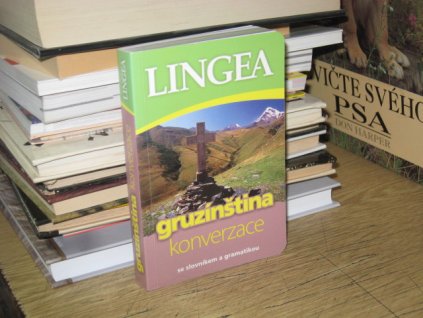 Gruzínština. Konverzace