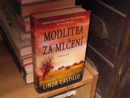 Modlitba za mlčení