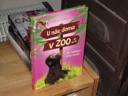 U nás doma v ZOO: Jak zachránit gorilí mládě?