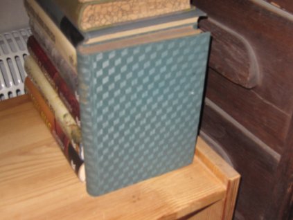 Od Petra Velikého do Lenina