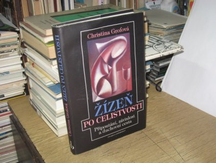 Žízeň po celistvosti