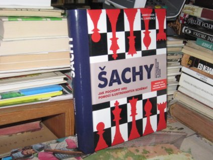 Šachy (Jak pochopit hru pomocí ilustrovaných schémat)