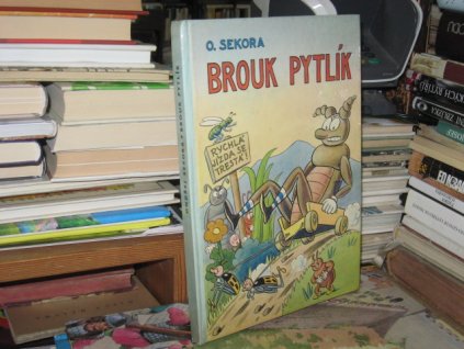 Brouk Pytlík