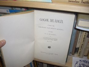 Gogol mládeži