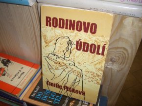 Rodinovo údolí