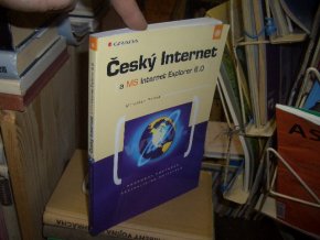 Český Internet a MS Internet Explorer 6.0