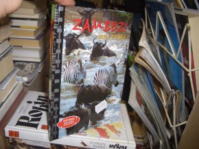 DVD Predátoři zblízka - Zambezi