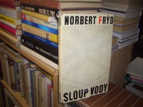 Sloup vody