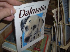 Dalmatin