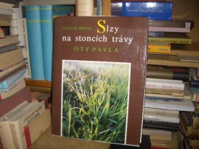 Slzy na stoncích trávy Oty Pavla