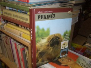 Pekinéz