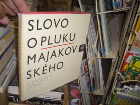 Slovo o pluku Majakovského