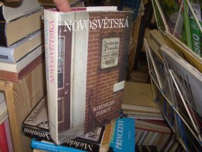 Novosvětská