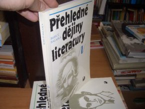 Přehledné dějiny literatury I.