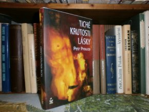 Tiché krutosti lásky