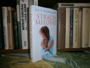 Strach milovat