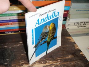 Andulka