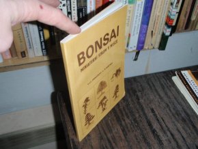 Bonsai - Miniaturní strom v misce