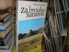 Za brouky Saharou