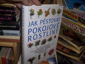 Jak pěstovat pokojové rostliny