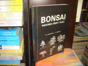 Bonsai - Miniaturní strom v misce