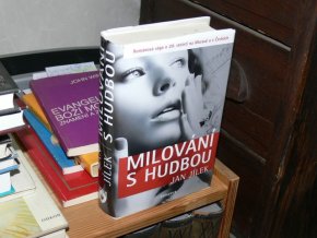 Milování s hudbou