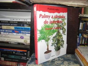 Palmy a stromky do interiéru