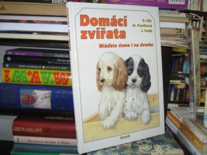 Domácí zvířata - mláďata doma i na dvorku