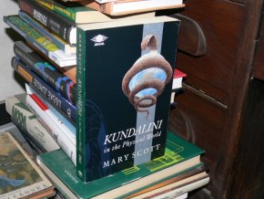Kundalini in the Physical World (anglicky)