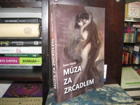 Múza za zrcadlem