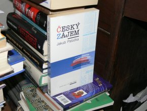 Český zájem - Vybrané texty z let 1992-2002