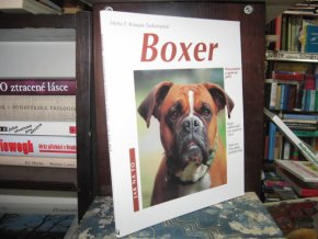 Boxer