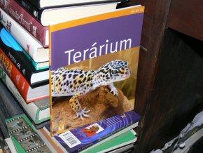 Terárium