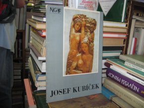Josef Kubíček (výstavní katalog)