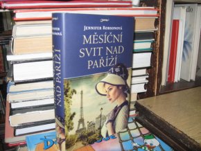 Měsíční svit nad Paříží