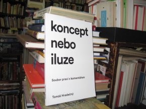 Koncept nebo iluze