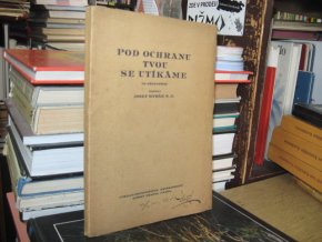 Pod ochranu tvou se utíkáme (32 přednášek)