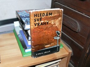 Hledám své vrahy