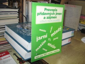 Pravopis přídavných jmen a zájmen. Cvičení z české gramatiky