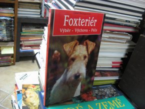 Foxteriér